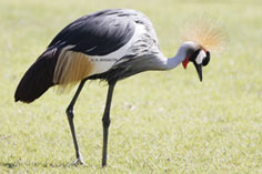 لقطات منوعة بعدسة بوغيث