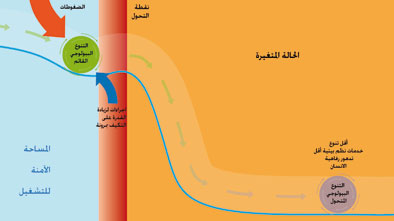 نقاط التحول