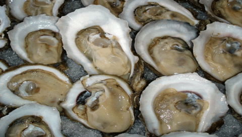 المحار البري