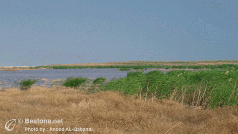 لقاء مع د. سميرة السيد عمر