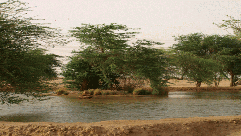 المحميات الطبيعية 