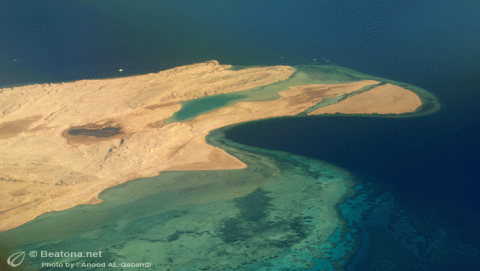 محمية رأس محمد 