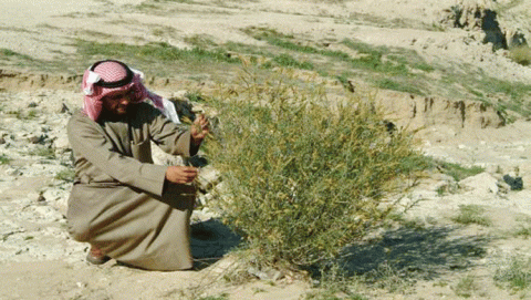 لقاء مع م. عبدالمحسن السريع 