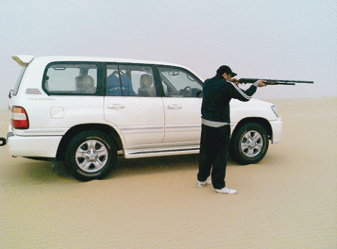 الطيور العربية 