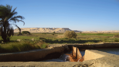 المناخ والمنطقة العربية 