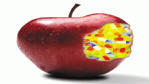 الأغذية المعدلة وراثيا 