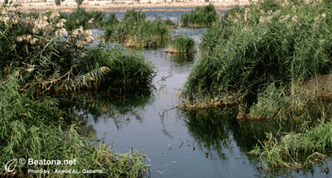 مناطق المحميات البرية