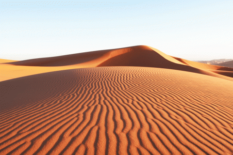 الأمم المتحدة " تطلق عقد التصحر " 