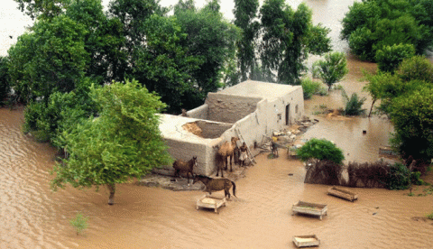 الرياح الموسمية