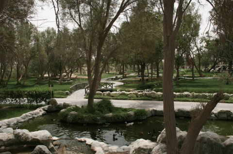 محمية العرين 