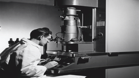 علم الأحياء 