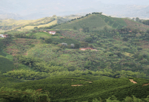 القهوة والشيكولاته 